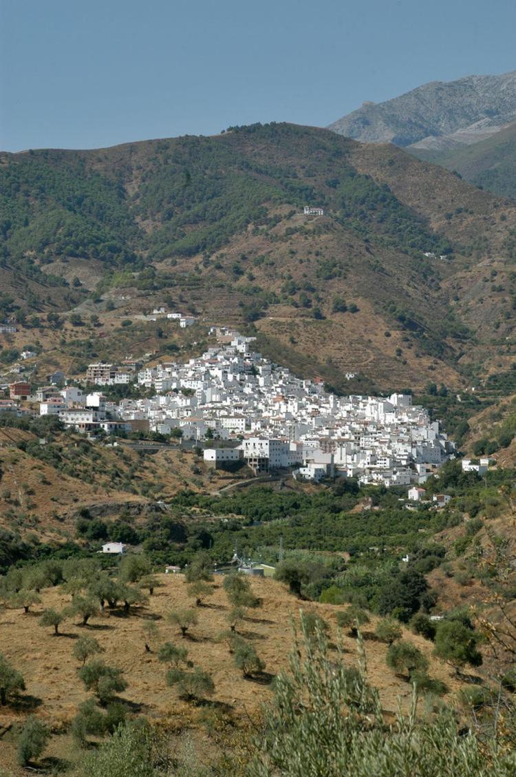 Checkmate Villa Tolox Dış mekan fotoğraf