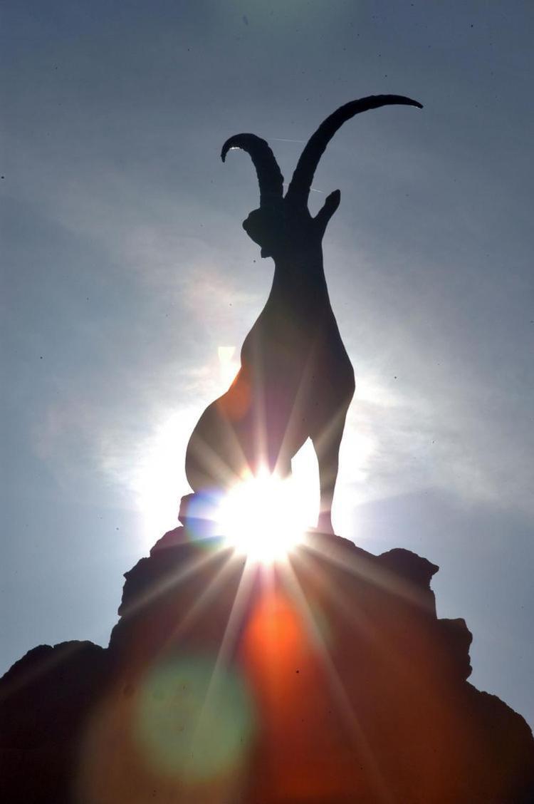Checkmate Villa Tolox Dış mekan fotoğraf